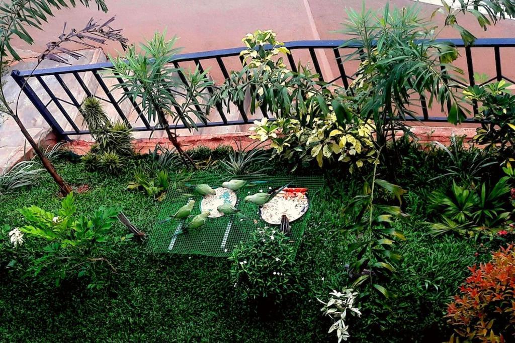 Saru Holiday Apartment - Upto 6 Guests แคนดี้ ภายนอก รูปภาพ